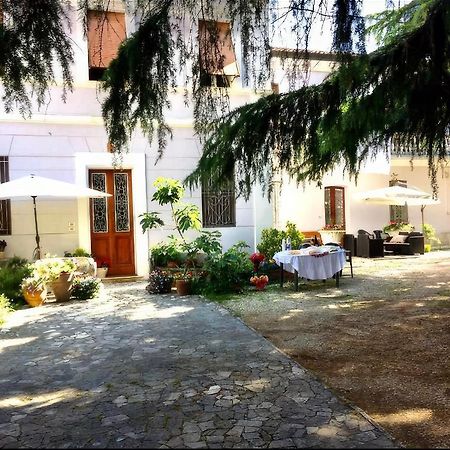 Villa Viola Forli Exterior photo